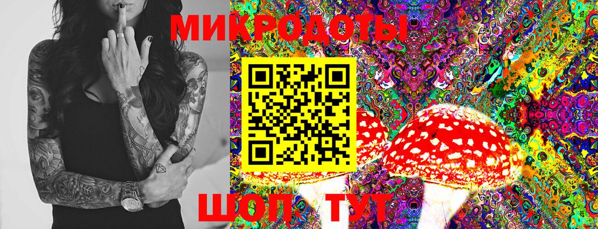Псилоцибиновые грибы прущие грибы Кудымкар