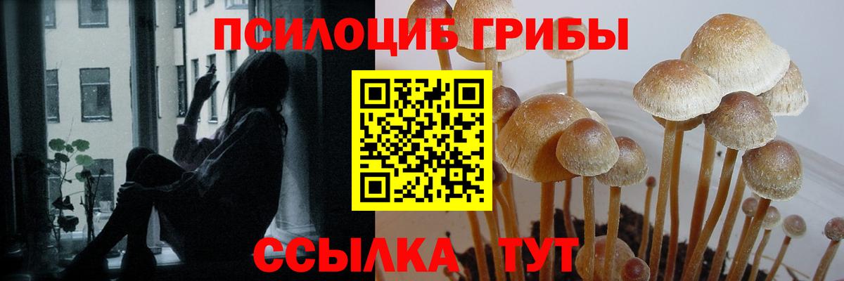 Кудымкар  Псилоцибиновые грибы Psilocybine cubensis  Вход с VPN 